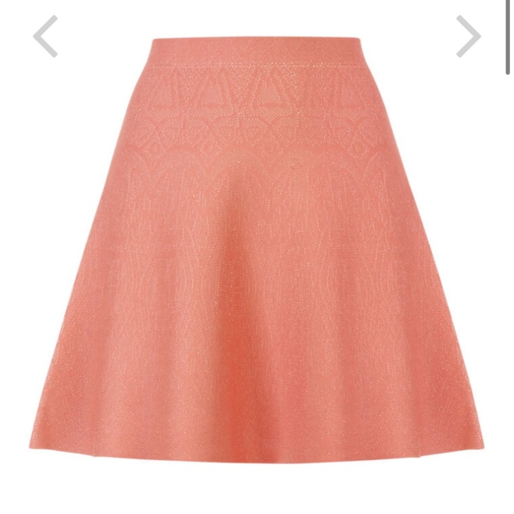 BCBG Queeny Paneled Skirt W/Tag